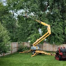 Best Tree Maintenance Programs  in Las Animas, CO