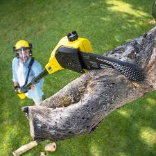 Best Aeration Services  in Las Animas, CO